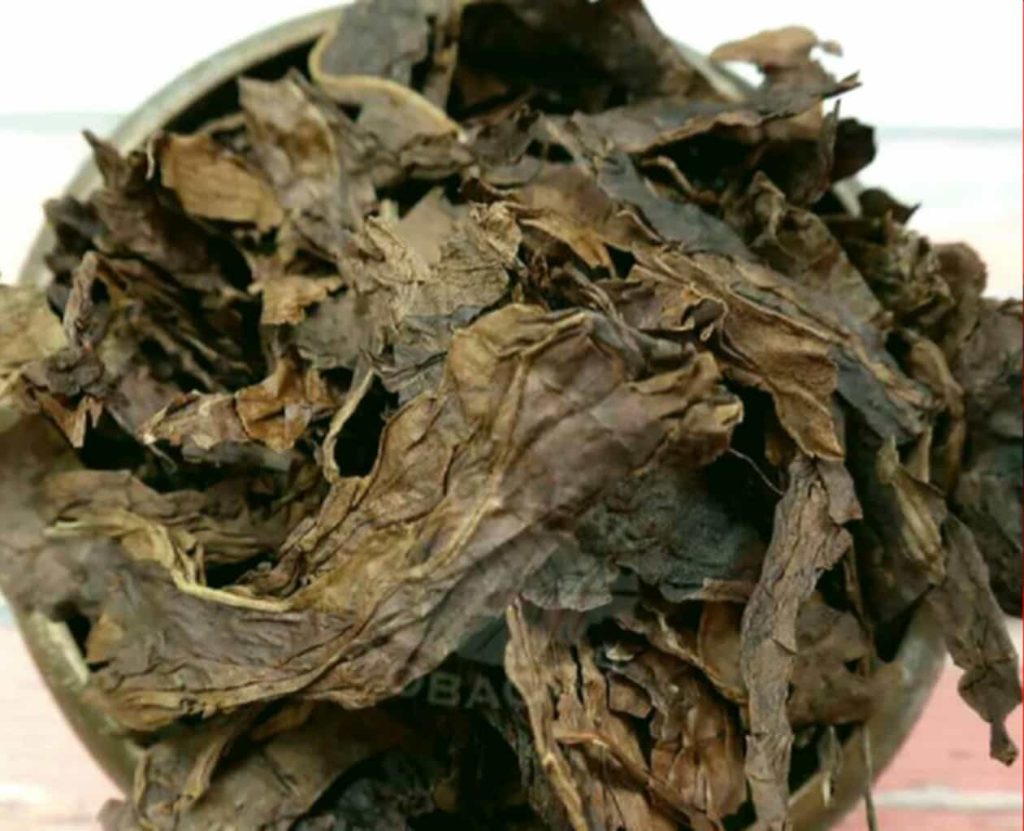 Latakia tobacco leaves ready for production